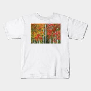 Colorado Autumn Kids T-Shirt